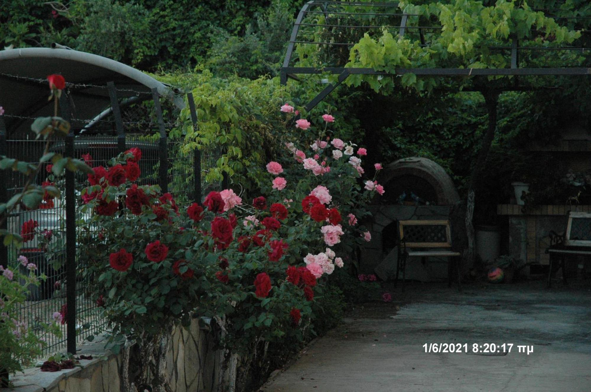 Mare - Mare B Hotel Patras Bagian luar foto