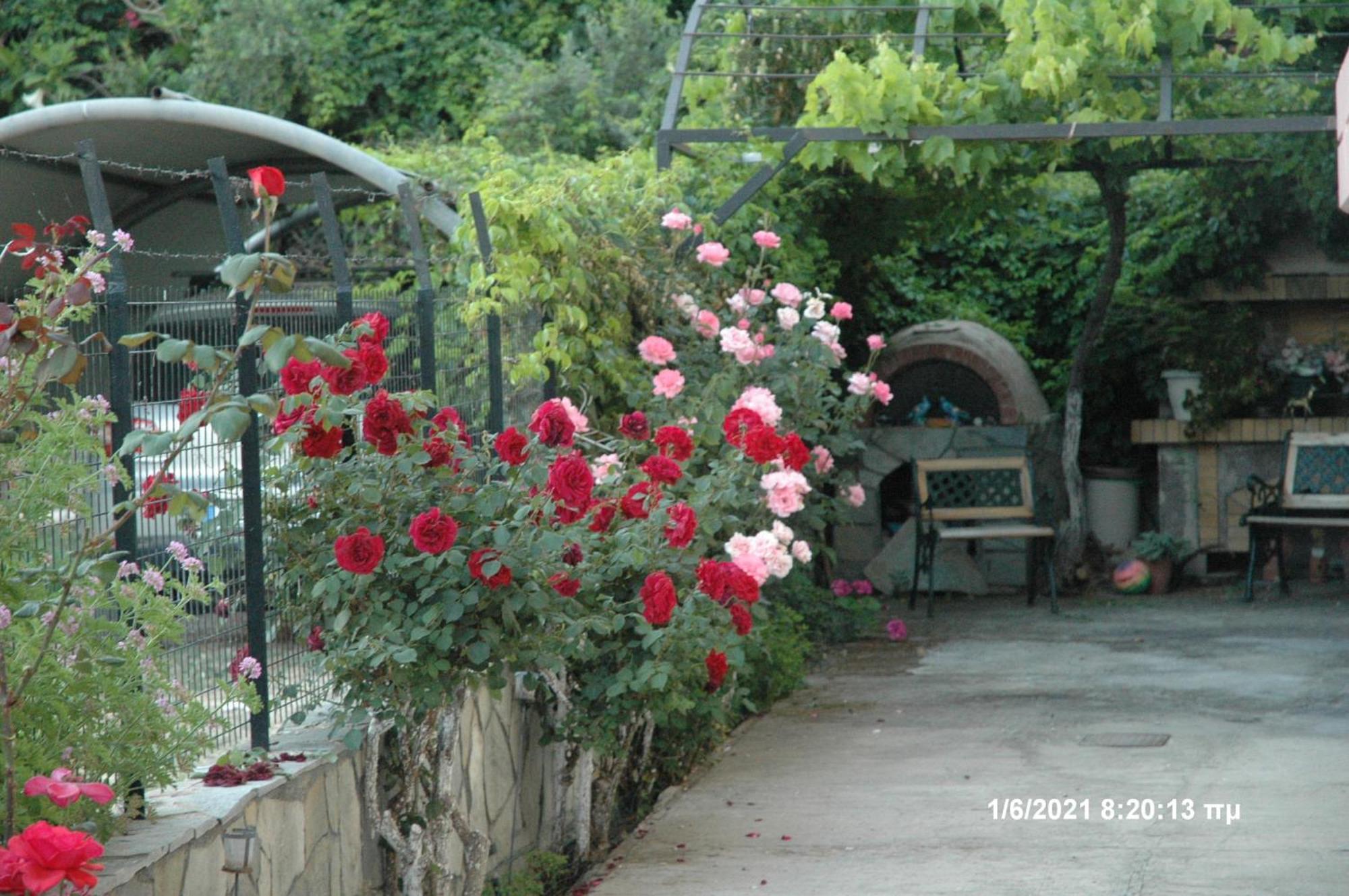 Mare - Mare B Hotel Patras Bagian luar foto